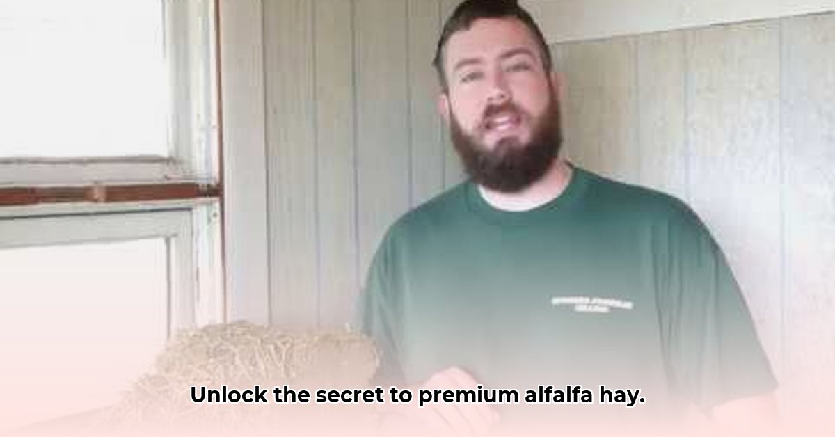 tractor-supply-alfalfa-hay